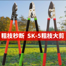 长柄修枝剪粗枝剪粗树枝专用大剪刀高空长杆修剪树枝大力剪修枝剪