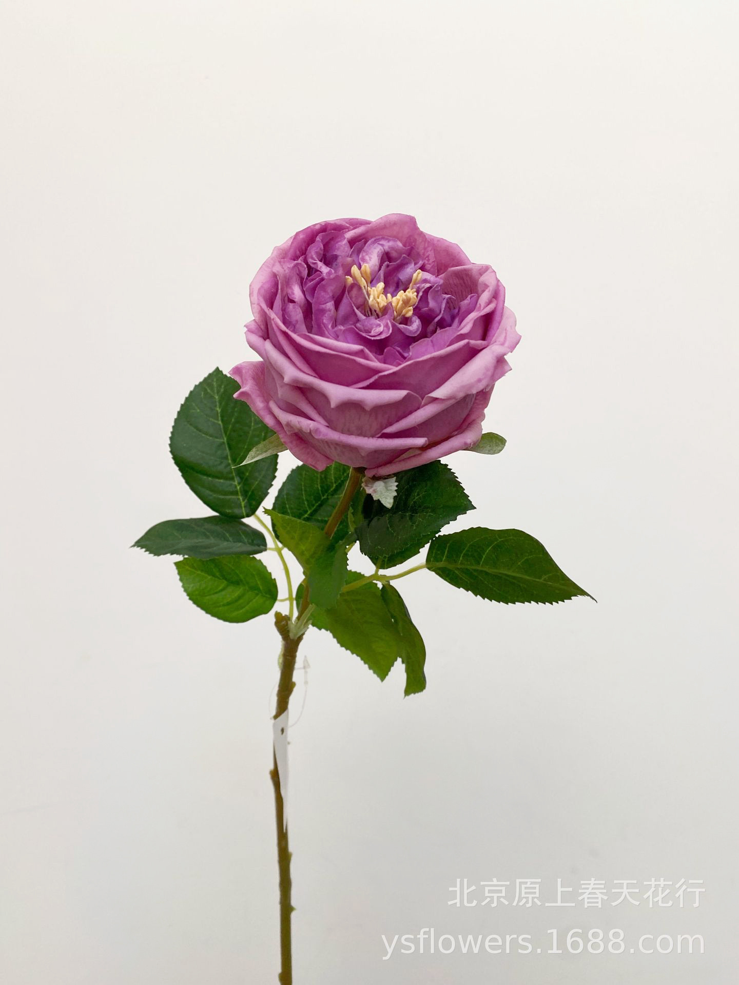 Siente artificial hidratante atin Rose Bud Core Rose temporada accesorios de tiro flor falsa planta decorativa flor falsa