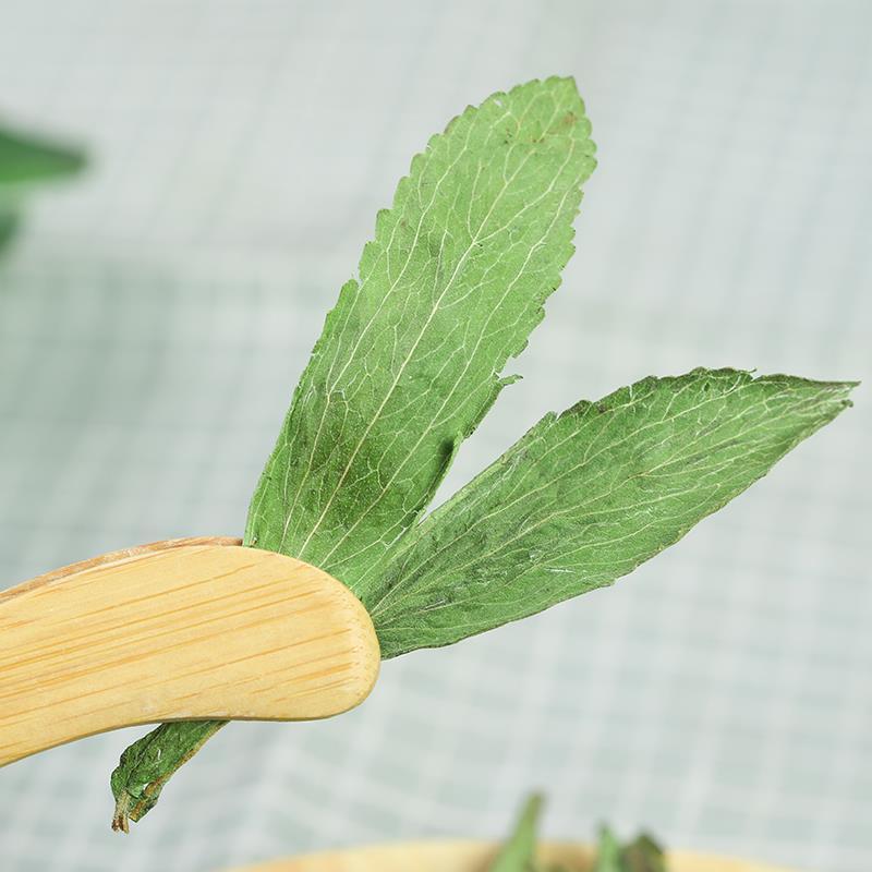 Stevia Leaf Tea 500g Sweet Herb Dried Leaves Tian Ye Ju for Herbal Infusions specifications
