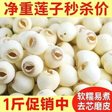 ��ɏ�����خa��̶��ɏ�Ӹ�؛ȥоɏ�� 500g�oоȡоĥƤ��ɏ