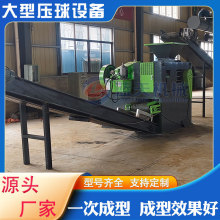木炭粉大型压球设备 锅炉灰铜冶炼烟尘成型机 锯末水泥石灰压球机