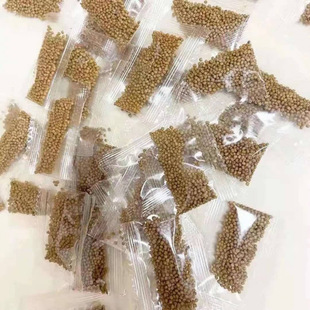 Colorful Turtle Feed, Colorful Turtle Food, High Calcium Granules, Small Turtle Food, Wholesale Direct Sales, Cross-Border One-Piece Manufacturer