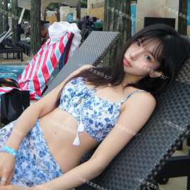 泰国小众ins风高颜值高级感新款青花瓷碎花比基尼分体泳衣女+披纱