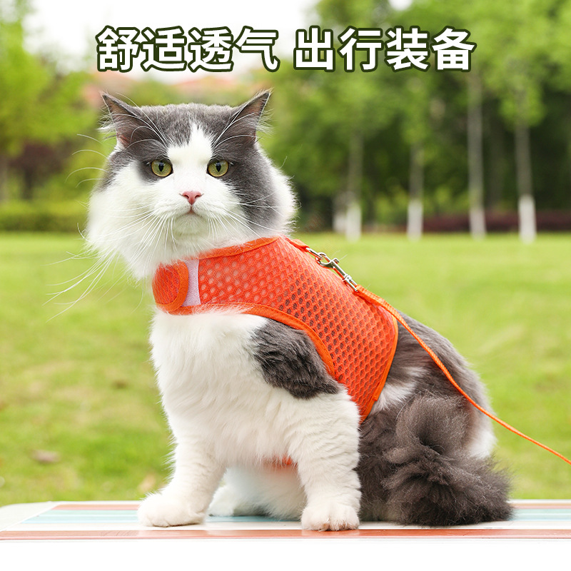 Cuerda de tracción para gatos tipo chaleco para evitar que se libere.