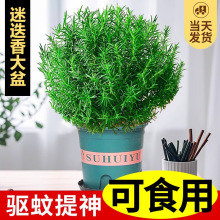 �Ե������Կ�ʳ�����ֲ����ݱ�����ˮ�໨�ܵ��Gֲ���҃Ⱦ�����