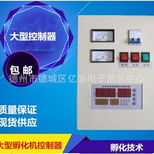 全自动孵化机控制器 大型孵化机控制器 智能温度湿度控制仪