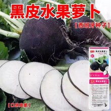 ��Ƥˮ���}���N���}���N��ɳ�C�}�����}���Nԭ�b�ļ��߲˷N�Ӵ�ȫ