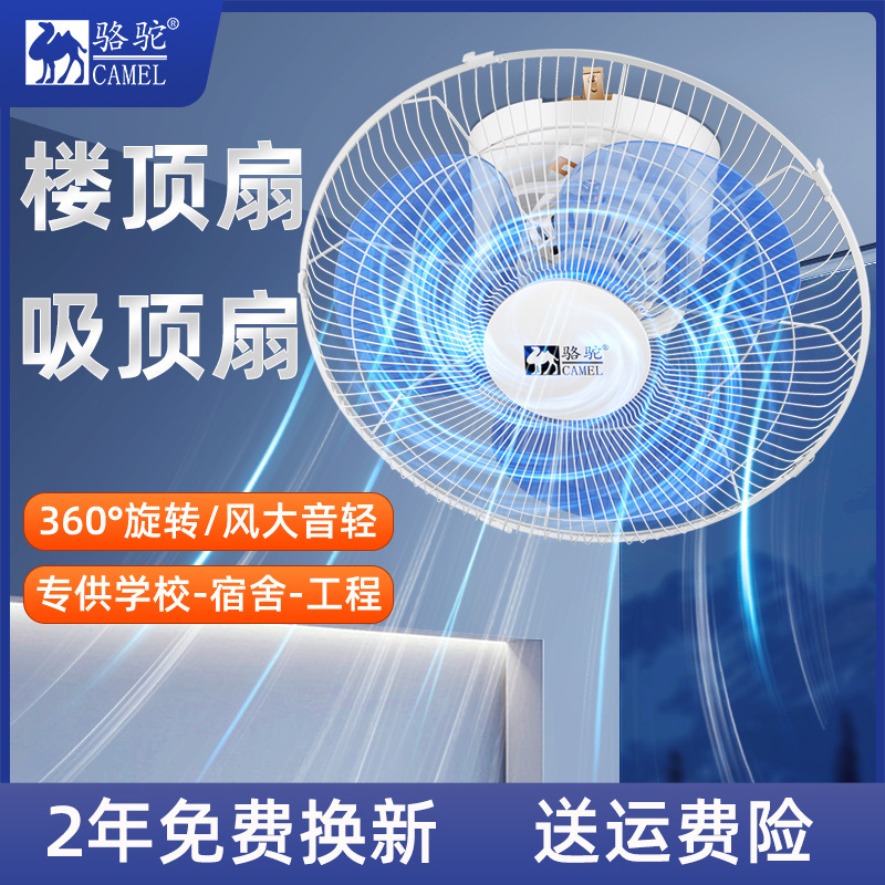 Camel Roof Fan Household Ceiling Fan Hanging Electric Fan 360 Degree Shaking Head School Dormitory Industrial Engineering Fan
