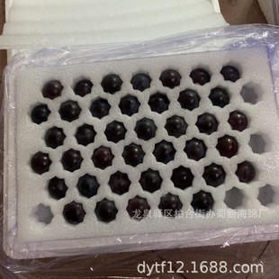 Foam Lining in the Car/Foam Inner Support in the Car/Foam Lining in the Car/Foam Packaging in the Car