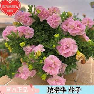 �ذ갫��ţ�N�Ӷ��������ӻ��ļ��͟�ͥԺ�_���҃��⻨�@�N������
