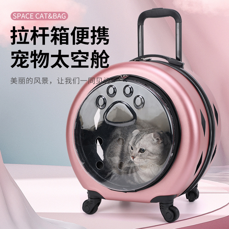 New pet trolley case wholesale transparent reinforced portable PC cat bag dog out pet air box cat bag