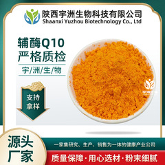 コエンザイムQ10 98% 食品グレード原料 303-98-0 脂溶性コエンザイムQ10粉末 メーカー直販 10g