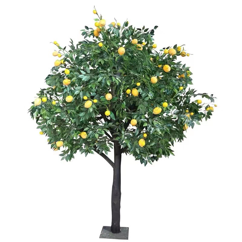 615cfd5908399344bb0f4fe173e31d