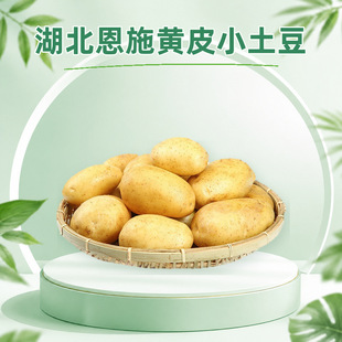 ������ʩ�SƤС���� ���l3/5/9���Ŵ�R����д���������r�߲�