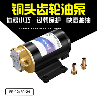 Fp-12 12V24V Dc Gear Oil Pump Refueling Pump Self-Priming Pump Diesel Pump Suction Pump Micro Oil Pump