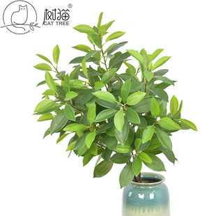 2024������ؔ�~�ָ��¹��~�٘�֦��֧������~�@���쾰�b𻨘�