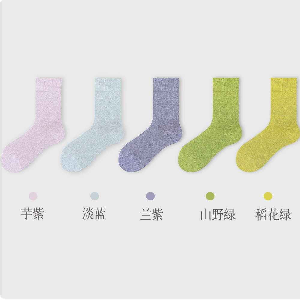 조합 8: 타로 퍼플 + 라이트 블루 + 블루 퍼플 + 마운틴 그린 + 라이스 그린