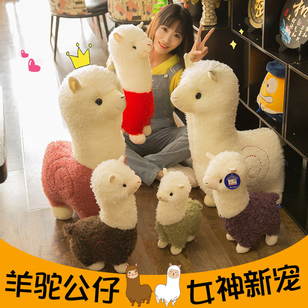 alpaca