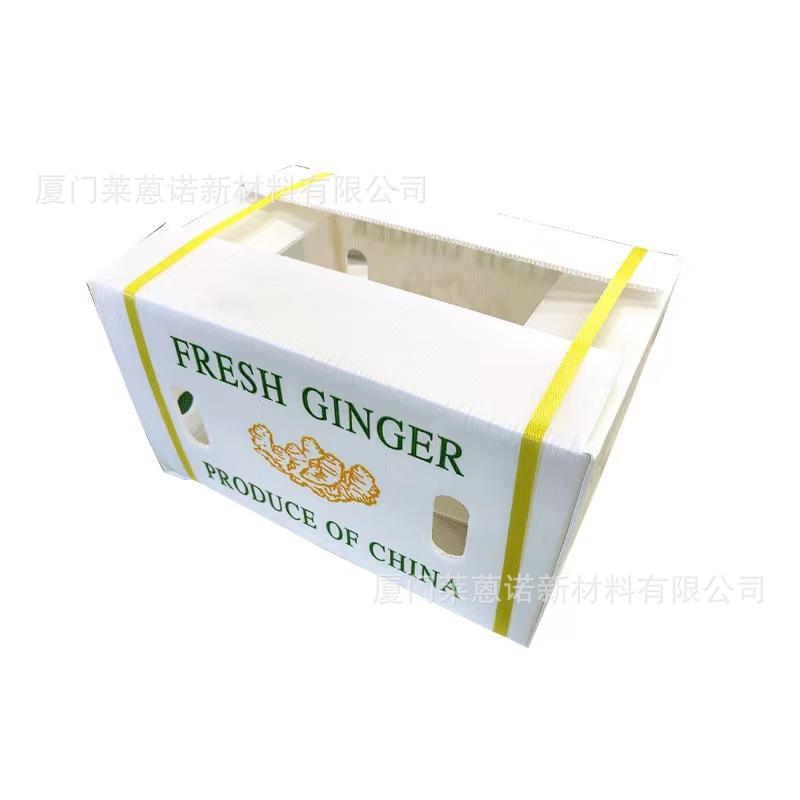 Caja de frutas y verduras de placa hueca pp personalizada plegable impermeable frutas y verduras frescas de transporte de cadena de frío Caja de plástico de calcio image 23