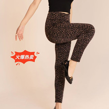 ﶬônﶬ¿aLѝ@ݏӺӽqyѝ