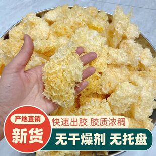 �y���K�����خa��؛��ľ�����l�o���y�������ʳ�Ĵ����׳��z����