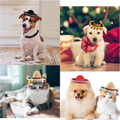 Amazon mini holiday hat bandana Carnival Halloween party Mexican small hat pet birthday