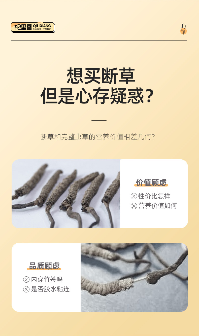 Premium Cordyceps Broken Stems 50g Bottle Dong Chong Xia Cao Qinghai Origin Culinary Herb overview