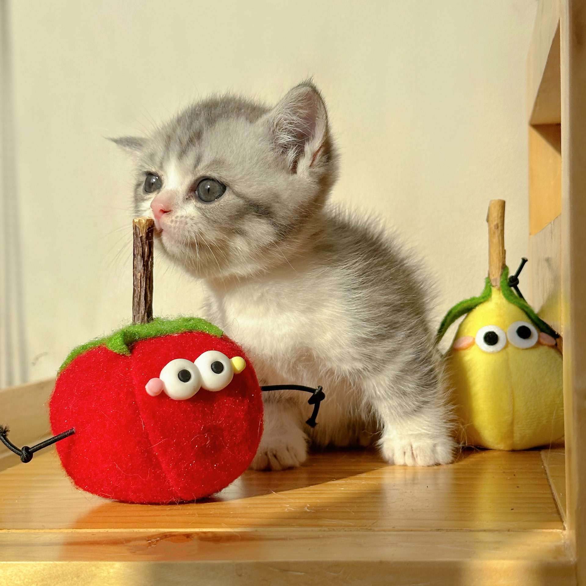 Игрушка-дразнилка для кошек груша