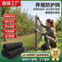 跨境塑料防护网跨境批发养鸡养殖护栏耐高温抗冻隔离网塑料围网
