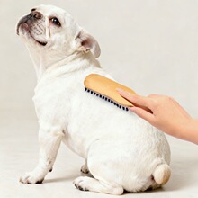 �����i��ëˢ�������ӹ�ë������ȥ��ë����Óë�_�Yˢ��ë��