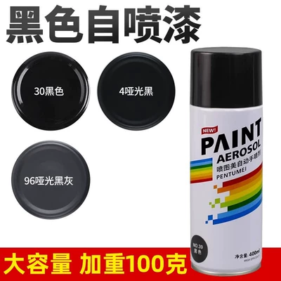 Black Self-Painting Matte Black Paint Non-Fading Door Color Steel Tile Tool Renovation Paint Dropshipping