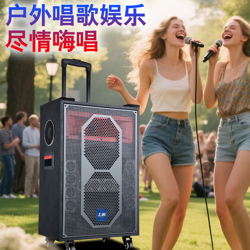 上科音响户外演出直播唱歌低音炮功放一体机蓝牙音箱广场级低音炮|undefined