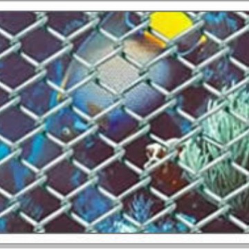 优质国标镀锌勾花网 安平勾花网生产厂家  -河北稳泰菱形网