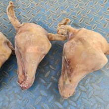 ���^�������^��؛������������^���r�������㎧Ƥ���^����]���l