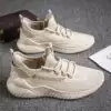 Welfare model: beige