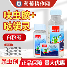 ̩���װט�35%߻�x���}�\�`���Ӱ׷�ʭ��Ʒ���x���rș20g100g200g