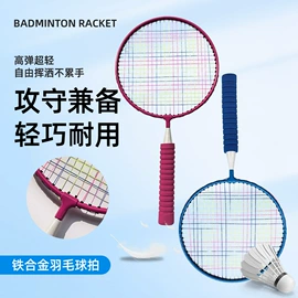 羽毛球拍;乒乓球;羽毛球