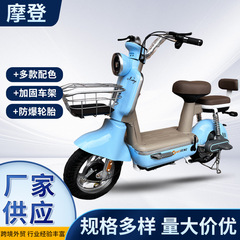 長い航続電気自動車の成人電動自転車の小型は二輪の電気自動車のメーカーの現物を助けます。