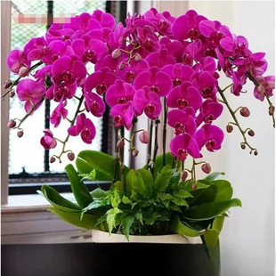 �����m���Ԏ������ﶬ�ͺ��r���ܾGֲ���҃��m������׻��ļ��_��