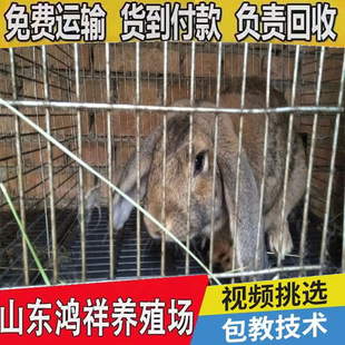 �N�û��جF؛�������N������������؛���T�����÷N�����l�r��