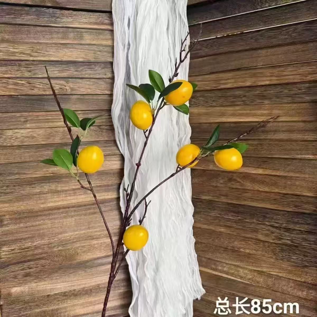레몬 6개