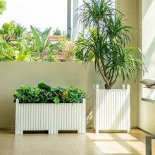 ����ľ�������ͥԺ�߶��L���α��W���s�Һ�ɫ����W�t����Nֲ��