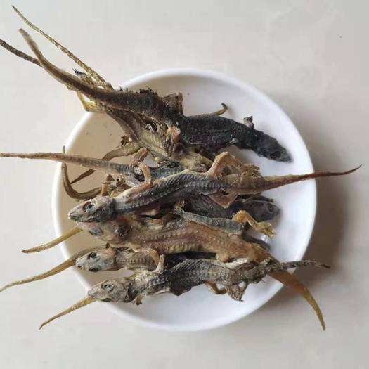 Tian Long Dried Gecko Whole Herb 500g Traditional Chinese Herbal Material quality and texture