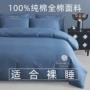床上新款春夏简约床笠