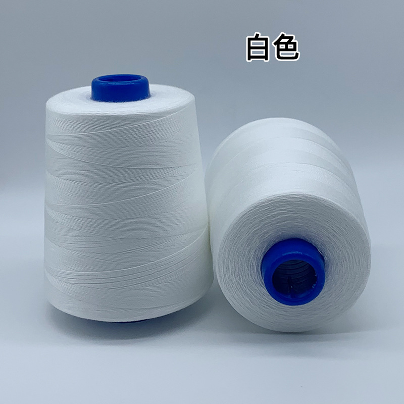 202 굵은 선-흰색