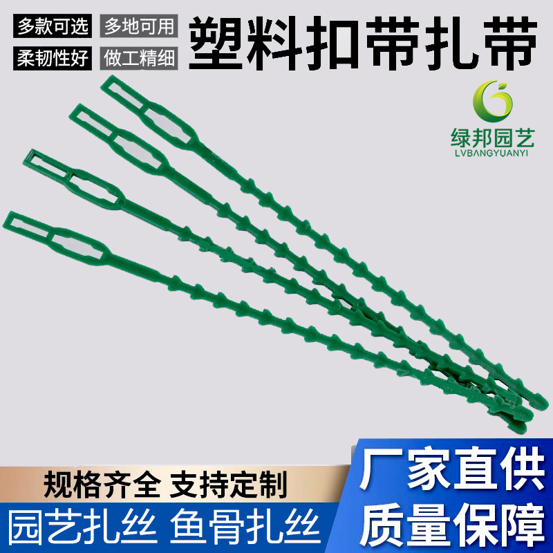 跨境多用途鱼骨扎带绿色园林绑扎带园林线 扎带 园艺鱼骨扎线