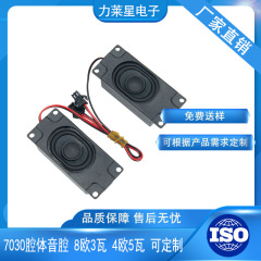 キャビティ音腔8ユーロ3ワット4ユーロ5ワットスマート音声アナウンス2030指紋ロックスマートヘルメットドアベルスピーカー