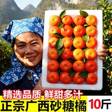 正宗广西砂糖橘当季新鲜10斤水果小橘子无籽金秋沙糖桔橘桔子整箱
