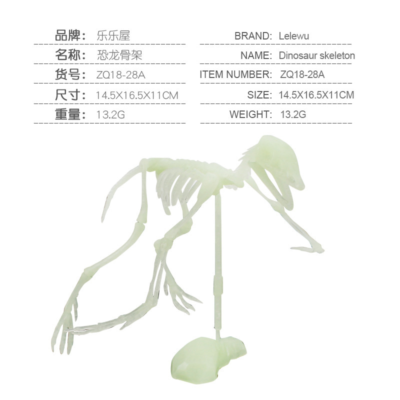 Transfronterizos de venta caliente simulación sólida modelo de cráneo de dinosaurio estático T. rex Velociraptor esqueleto arqueológico juguetes para niños