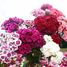 ����ʯ��N���޸������\�F횰���ꖻ����л��̨�����ͺ����ﲥ